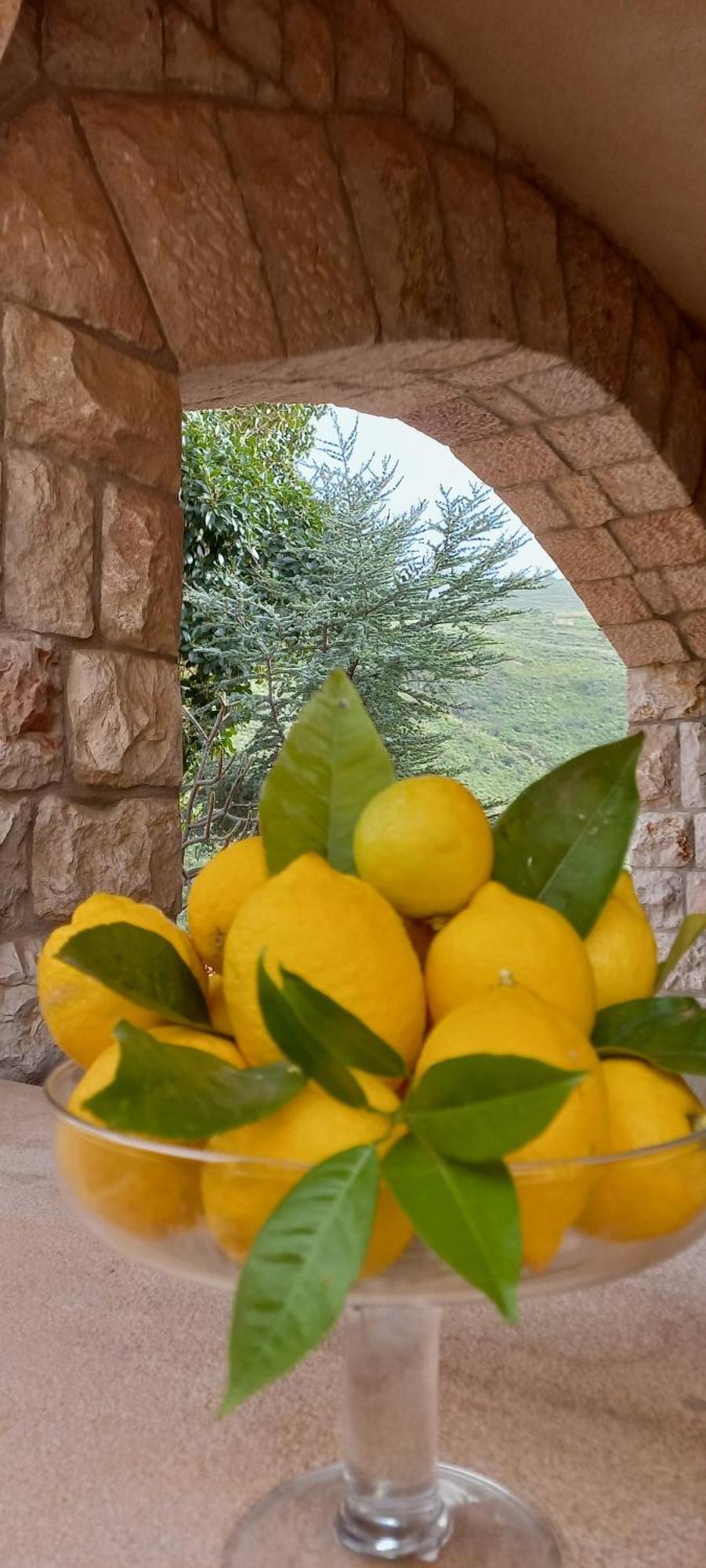 צ'פאלו Villa Verde מראה חיצוני תמונה