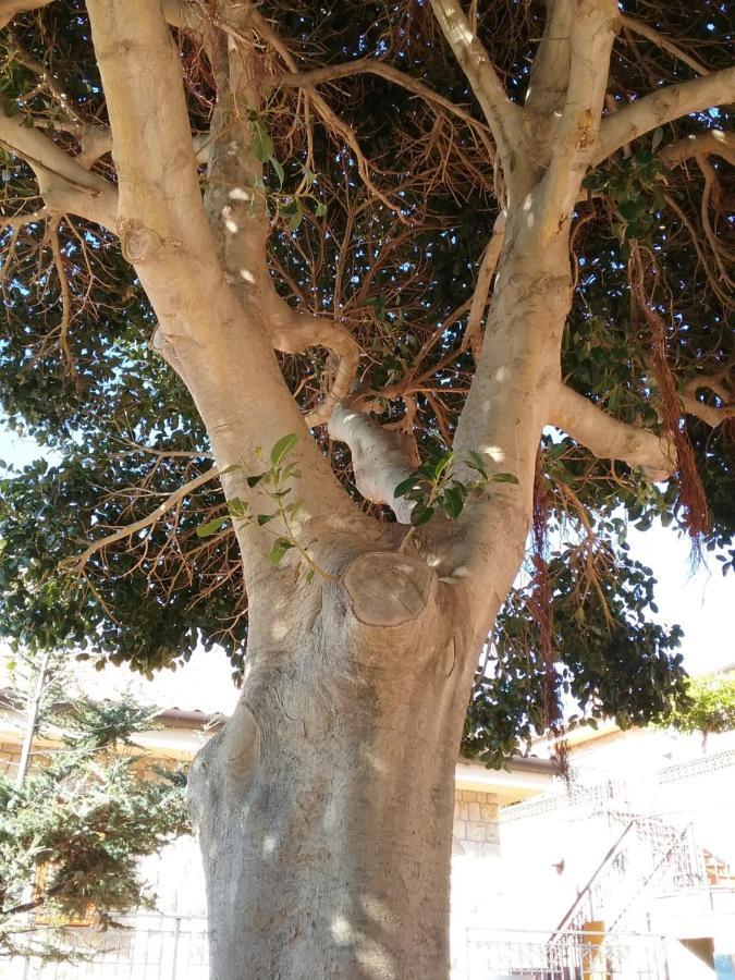 צ'פאלו Villa Verde מראה חיצוני תמונה